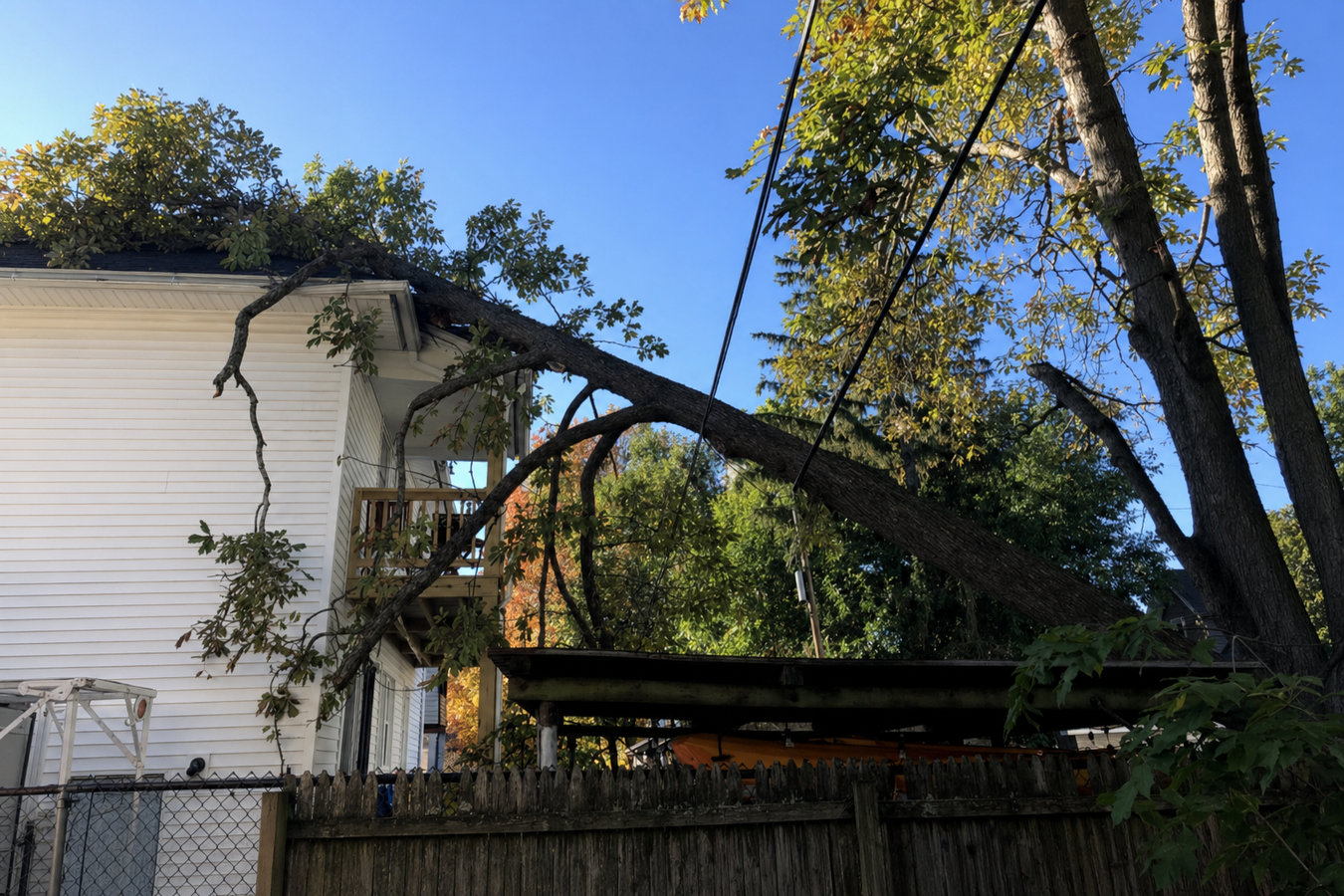 Emergency tree service in Oakdale, CA