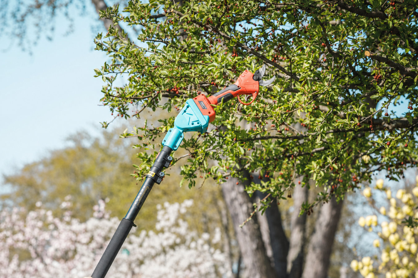 Tree pruning in Oakdale, CA