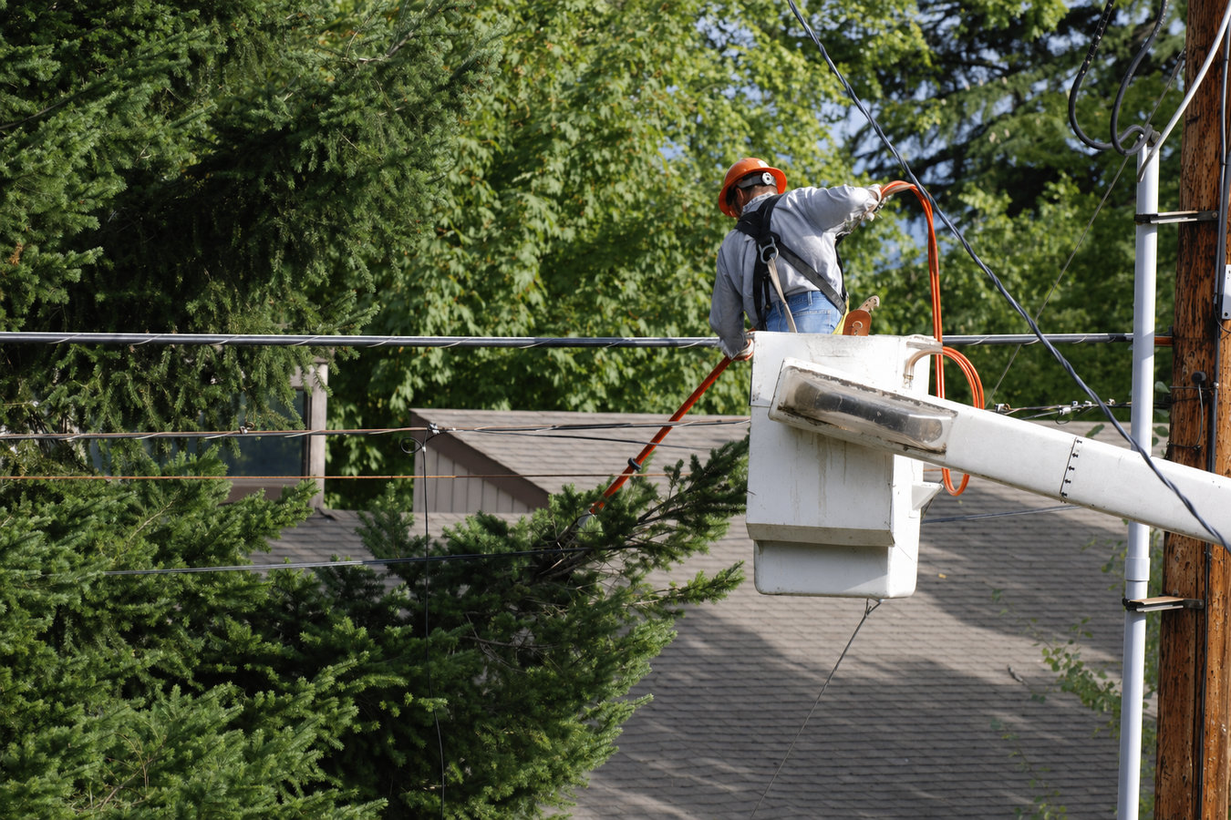 Tree trimming in Oakdale, CA